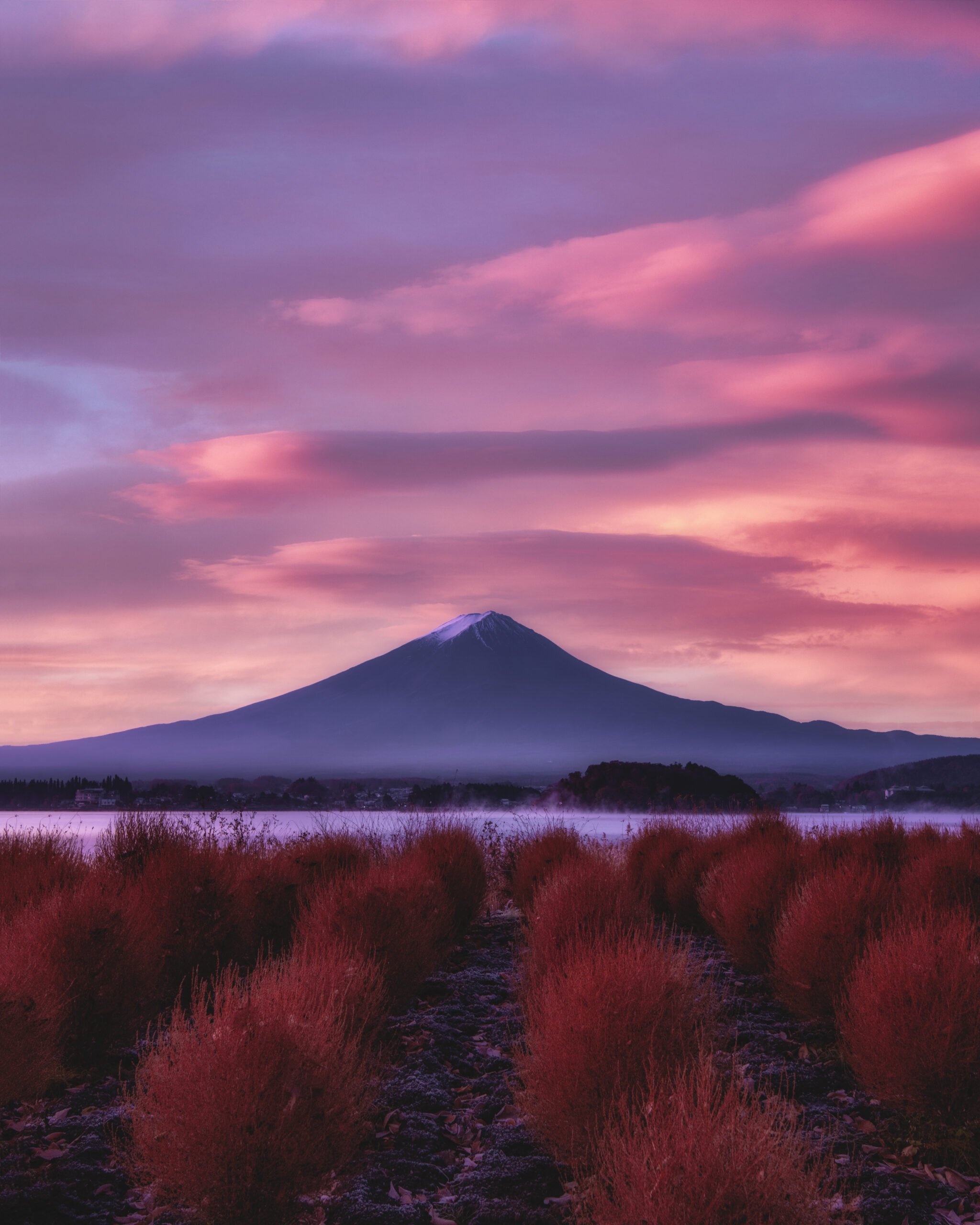 🏞️ 강변 공원(카와기시 코엔) 이미지 8